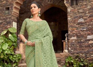 Types of Georgette Sarees to Check out Georgette Sarees
