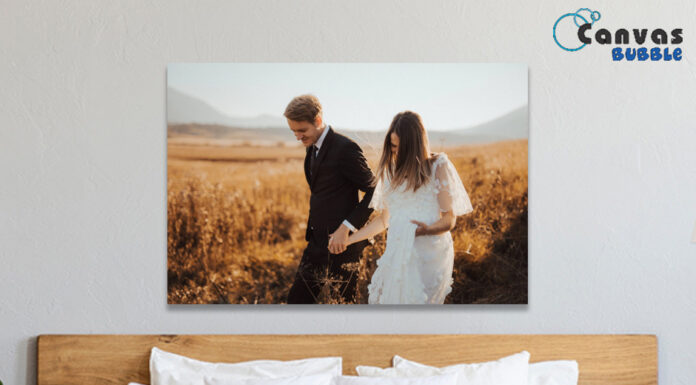 All You Need to Know about Hexagon Canvas Prints