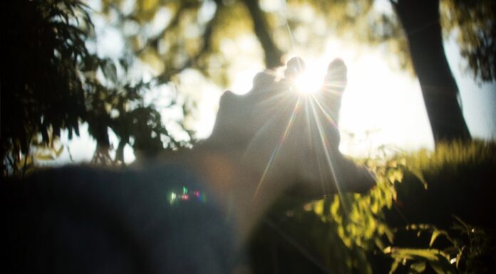 Tocopherols, Free Radicals, and UV Rays?