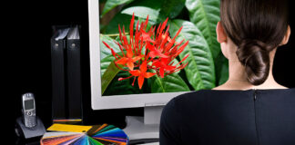 Improve the Visual Appeal of Your Website Through Graphic Design Graphic Design Service