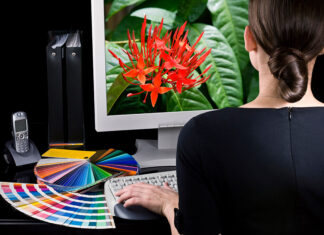 Improve the Visual Appeal of Your Website Through Graphic Design Graphic Design Service