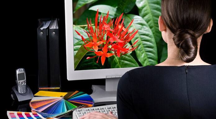 Improve the Visual Appeal of Your Website Through Graphic Design Graphic Design Service