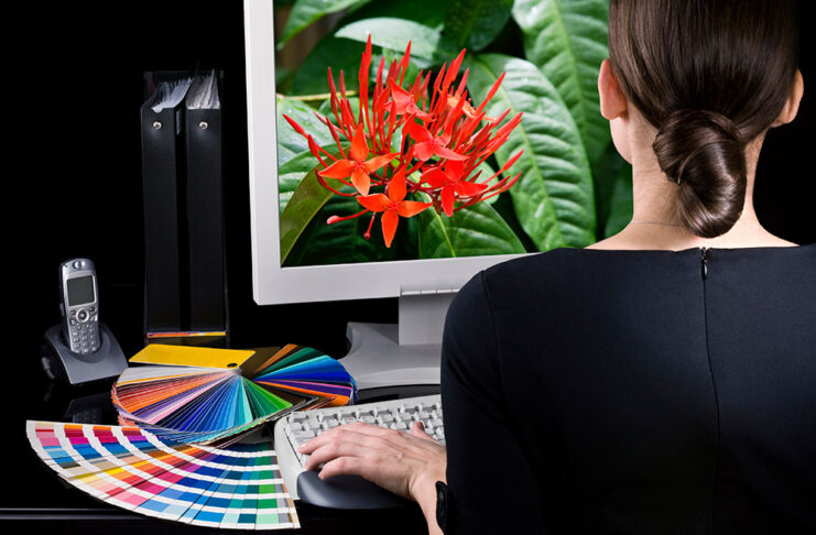 Improve the Visual Appeal of Your Website Through Graphic Design Graphic Design Service