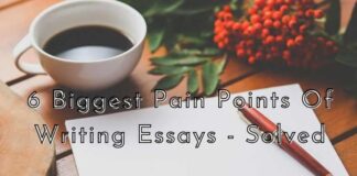 6 Biggest Pain Points Of Writing Essays – Solved Biggest Pain Points Of Writing Essays