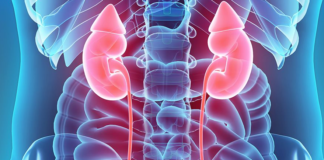 Learn Everything about Urinary Tract Infection in Children Urinary Tract Infection
