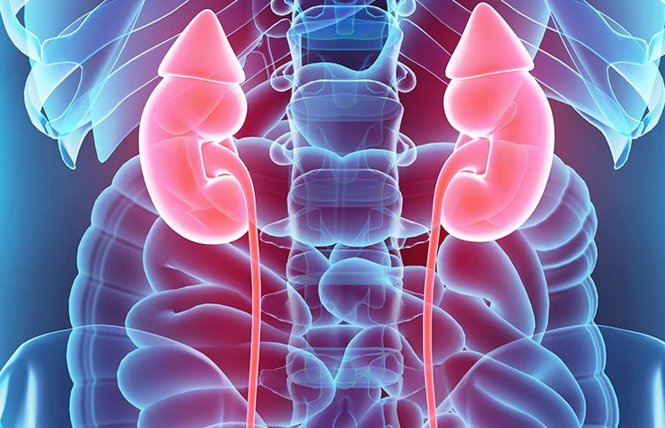Learn Everything about Urinary Tract Infection in Children Urinary Tract Infection