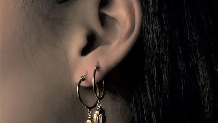 Stainless steel Earrings