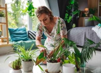 Spruce Up Your House With A Nature-Y Vibe! Spruce Up Your House With A Nature-Y Vibe