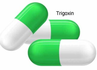 What is Trigoxin in Run on Hulu? Is the Medicine for Real? What Is the Usage and Side Effects? Trigoxin in Run on Hulu