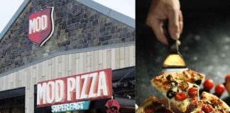 Mod Pizza Franchise- Mod Pizza Franchise Requirements- Know in Detail Mod Pizza Franchise