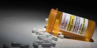 Hydrocodone vs Oxycodone: Understanding The Differences Hydrocodone vs Oxycodone Understanding The Differences