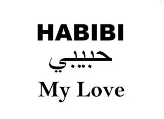 Habibi: What Does It Mean, How People Really Use It, and Why Context Matters So Much Habibi